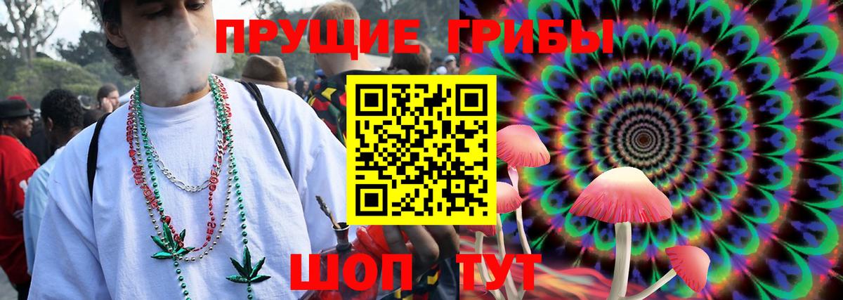 Алатырь  сколько стоит  Вход с VPN  Галлюциногенные грибы GOLDEN TEACHER 