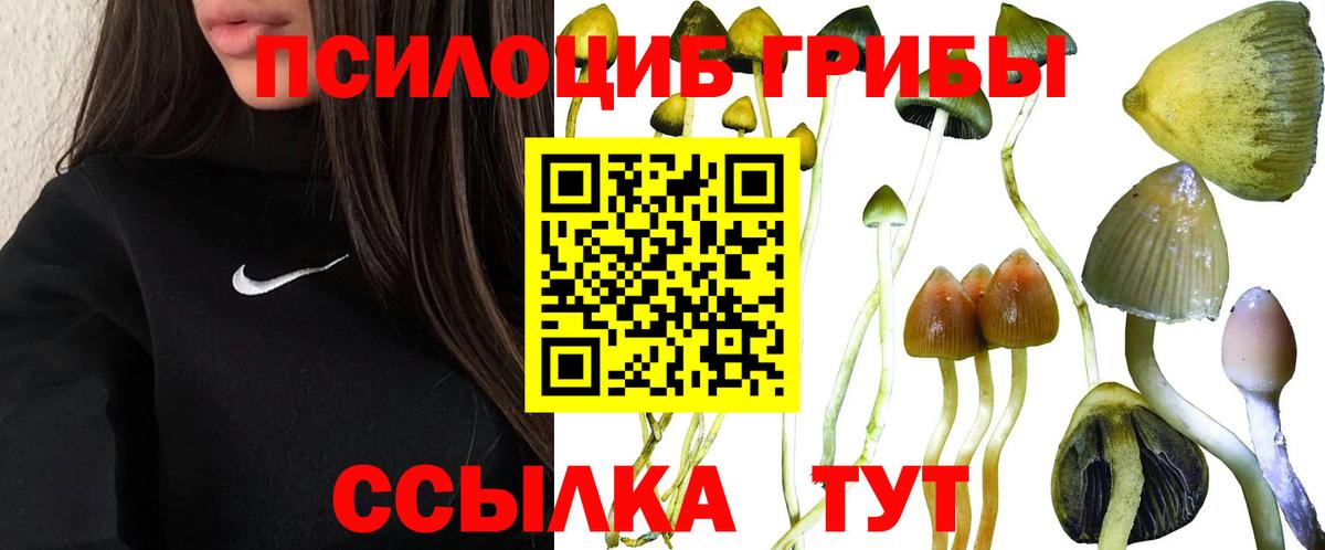 Псилоцибиновые грибы Magic Shrooms Алатырь